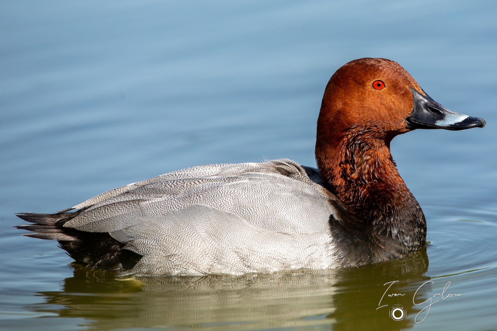 18 april 2022 110222  5D46580